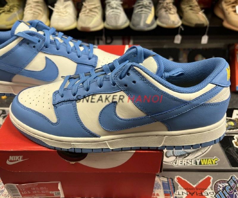 Nike Dunk Low Coast 